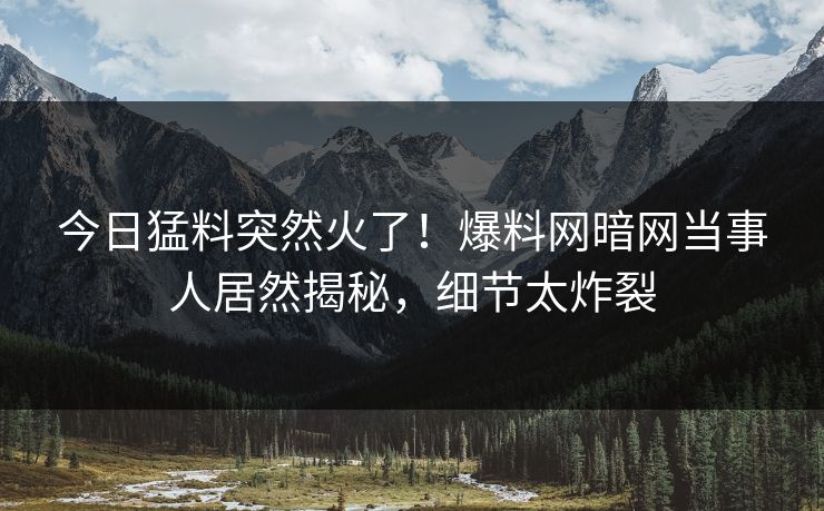 今日猛料突然火了！爆料网暗网当事人居然揭秘，细节太炸裂