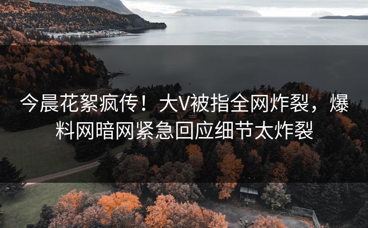 今晨花絮疯传!大V被指全网炸裂,爆料网暗网紧急回应细节太炸裂