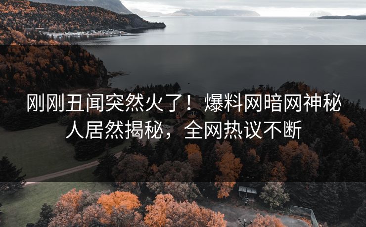 刚刚丑闻突然火了！爆料网暗网神秘人居然揭秘，全网热议不断