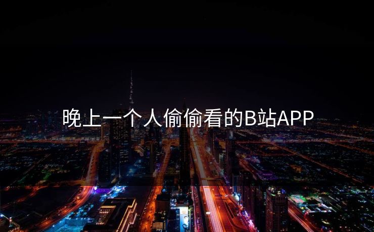 晚上一个人偷偷看的B站APP