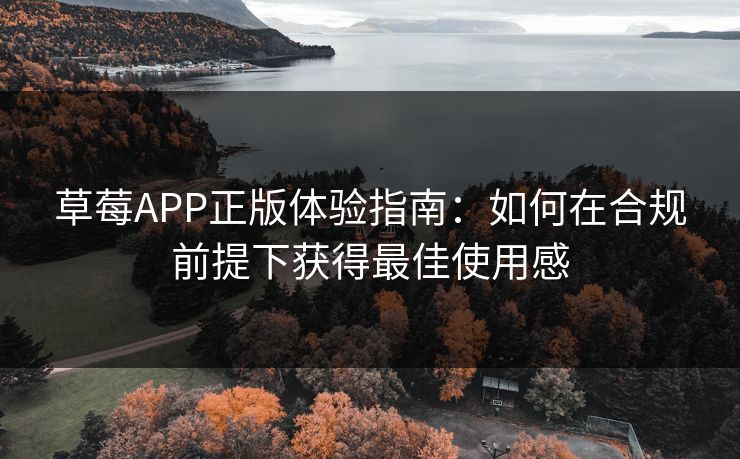 草莓APP正版体验指南：如何在合规前提下获得最佳使用感